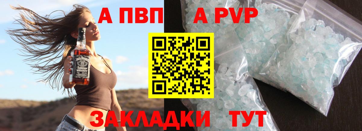 A PVP СК КРИС  Светлоград 