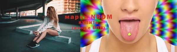 стафф Приозерск