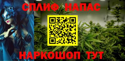 гашик Бийск
