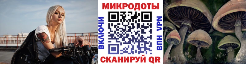 Галлюциногенные грибы GOLDEN TEACHER Светлоград