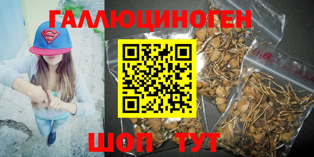Галлюциногенные грибы GOLDEN TEACHER Светлоград