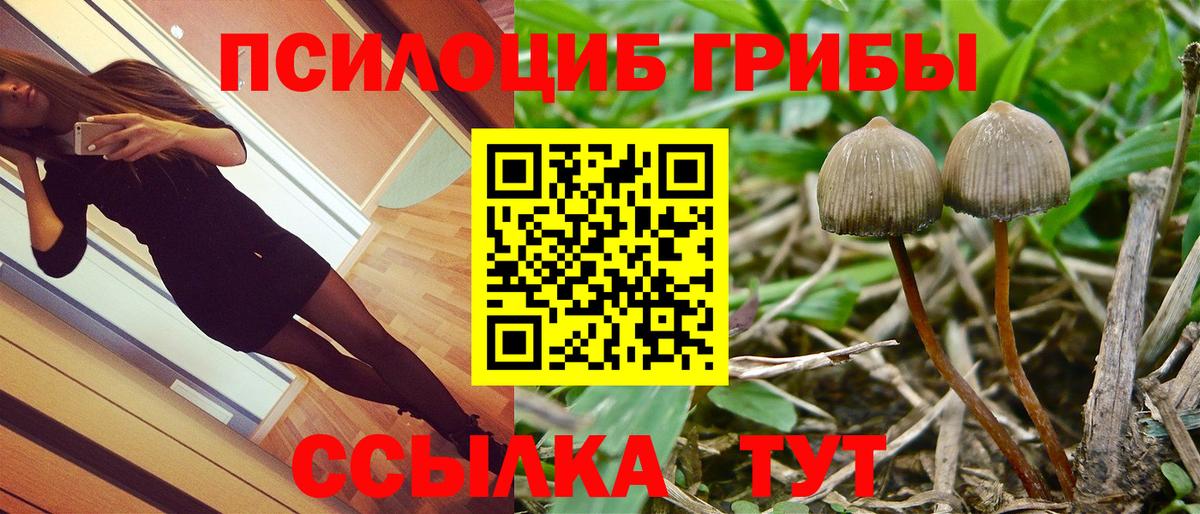 наркота  Вход с VPN  Светлоград  Псилоцибиновые грибы GOLDEN TEACHER 